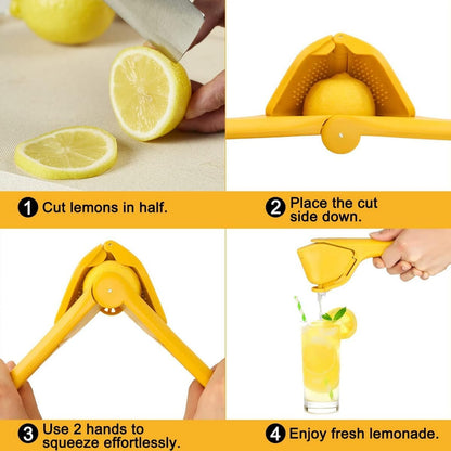 Citrus Press Pro